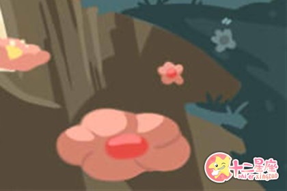 土星逆行了,十二星座应该注意什么?