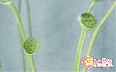 星座星象