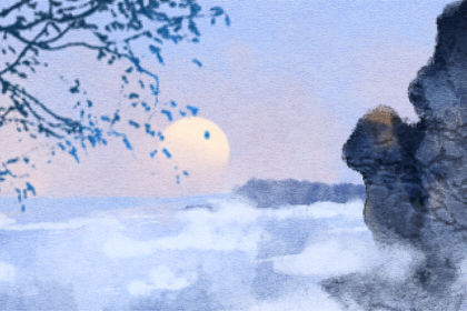 南京玄武湖罕见再现并蒂莲 并蒂莲是什么意思 南京玄武湖罕见再现并蒂莲 并蒂莲是什么意思