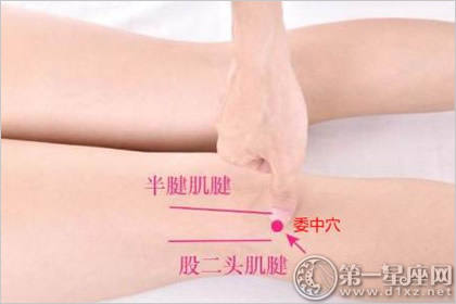 委中穴:解腰背酸痛穴 委中穴:解腰背酸痛穴