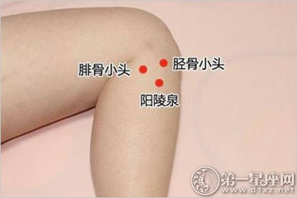 阳陵泉穴:舒筋活络穴 阳陵泉穴:舒筋活络穴
