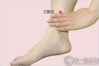 三阴交穴:滋阴养颜穴 三阴交穴:滋阴养颜穴