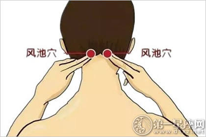 风池穴:明目醒脑穴 风池穴:明目醒脑穴
