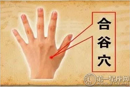 合谷穴:清热止痛穴 合谷穴:清热止痛穴