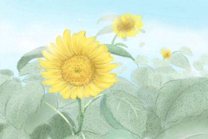 莱蒂.巴尔达勒斯 莱蒂.巴尔达勒斯