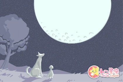 星座 星座