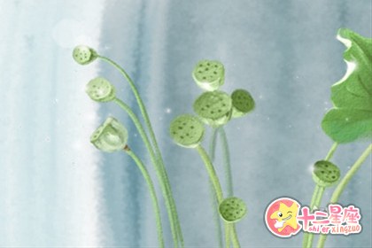 星座