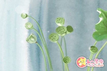 十二星座爱喜新还是爱旧,自觉对号入座吧