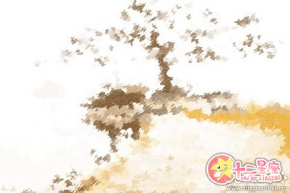 说再多也没用 只会隔着屏幕告白的星座