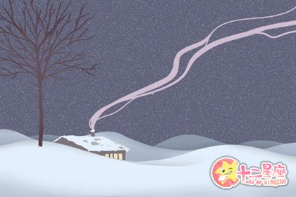 金星星座
