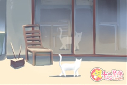 狮子座
