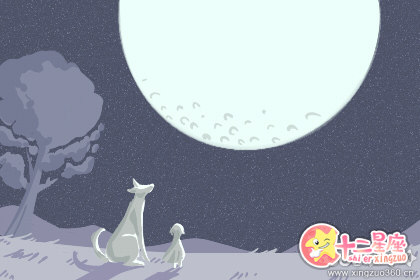 明星个人星盘分析 关于王凯篇介绍