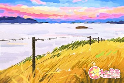 星盘解析