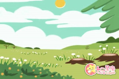 星盘解析