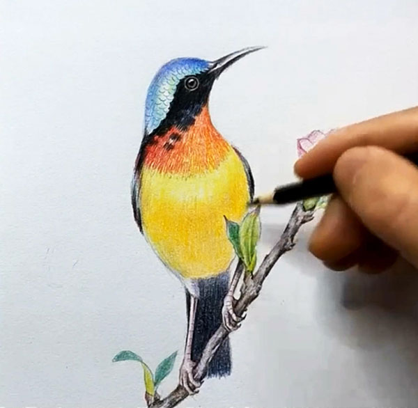 彩绘画图片