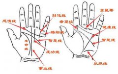能嫁给有钱人的手相，快来看看自己有没有