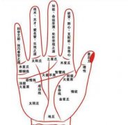 多条很细的财运线财运会不会好？