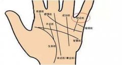 男人的财运线看哪个手?