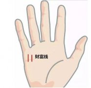 女人手掌心有财运线吗，有什么说法？