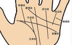 如何看掌纹财运线好不好？