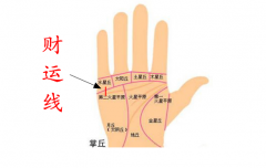 财运线分叉是什么意思？