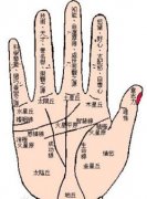 男人手中财运线分叉不好吗？
