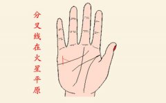 财运线分叉图解，如何了解财运线？