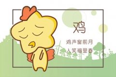 2021年鸡女的运势详解 事业获得提升