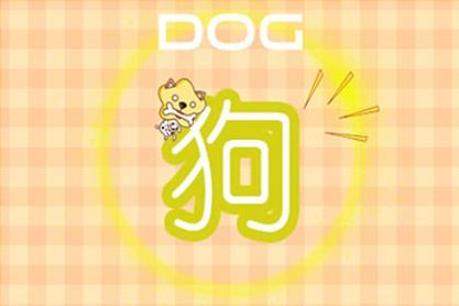 属狗 属狗
