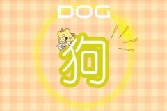 2021这些生肖可以突破自己 升华自己