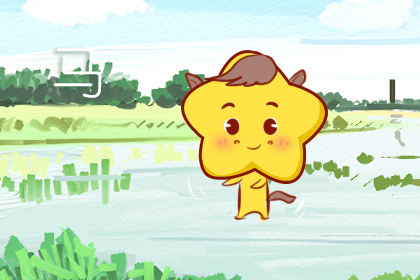 属马 属马