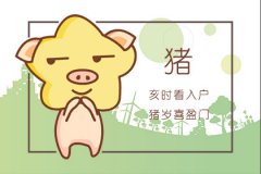 被好运眷顾一生的生肖