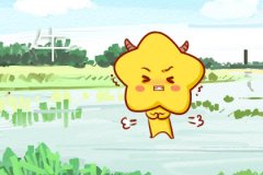 第一运程 2019年3月16日十二生肖运势解析