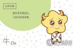 第一运程 2019年1月7日十二生肖运势解析