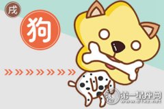 双12前后 买彩票中奖几率高的生肖