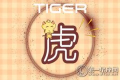 2019年跳槽会到处碰壁的生肖