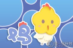 2019运势抢先看 生肖鸡声名大噪之年