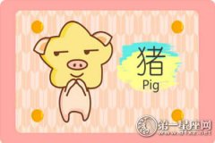 2019年出生属猪宝宝命运如何