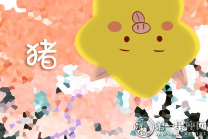属猪 属猪