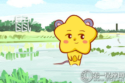 鼠 鼠