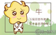 1973年属牛的人2019年运程大全及破解