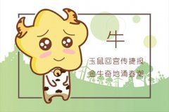 2021年不顺的生肖 属牛人事业难有成绩