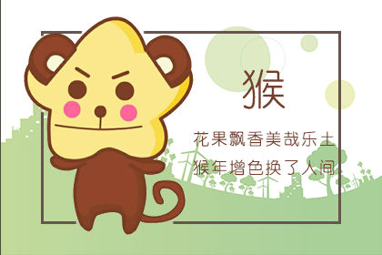猴 猴