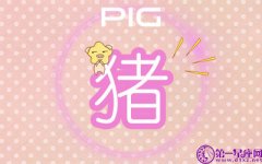 中彩票会大肆传播的生肖