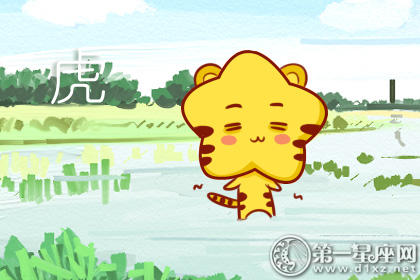属虎 属虎