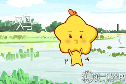 鸡 鸡