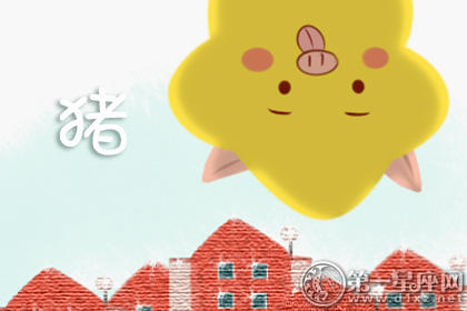 属猪 属猪
