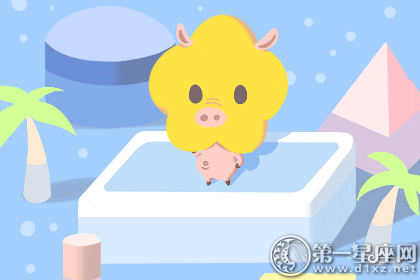 属猪 属猪