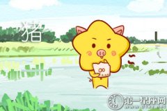 这些生肖是健身房的潜在顾客