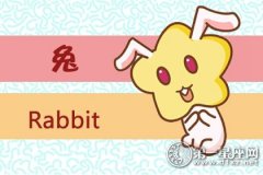 人生这么短 却总是膜拜别人而活的生肖